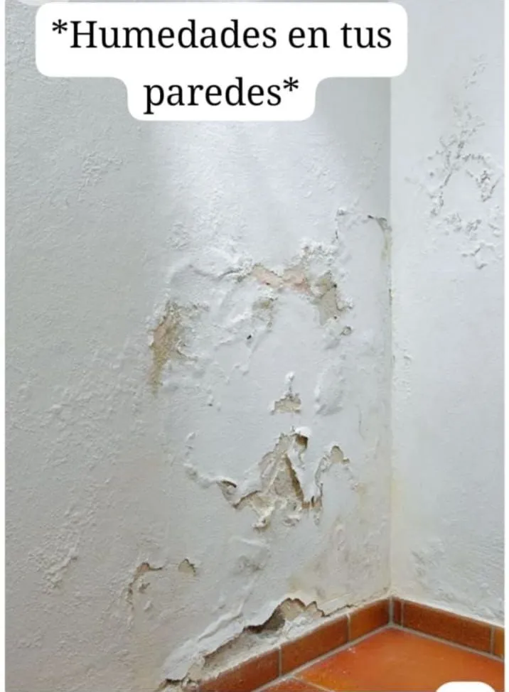 Material de Humedad y filtraciones